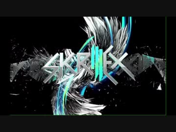 【作業用BGM】Skrillex - kill everybody