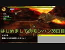はじめましてのモンハン３８日目