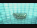 【FF13】5年後に発覚？！実装予定だった知られざる場所！あらたな「敵」