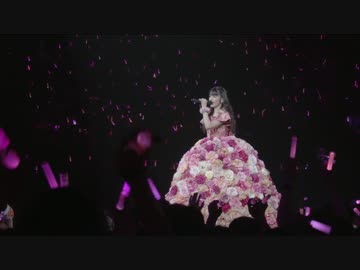 赤いフリージア '14