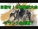 【MH4G】目指せ!G級闘技大会Sランク全制覇!【3乙目】