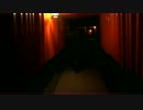 伏見稲荷大社・夜の千本鳥居(4K)
