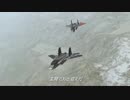 ACE COMBAT ZERO in RigidChips