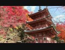 紅葉の京都(2014/11/27)