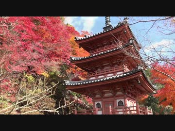 紅葉の京都(2014/11/27)