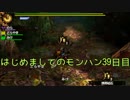はじめましてのモンハン３９日目