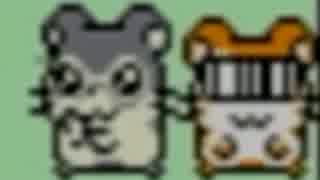 【実況】ツッコミどころしかないハム太郎　part8