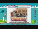 カワイイんだよ？絵里は！