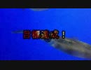 [スーパーカブ]大分県ウッキーツーリング 中篇