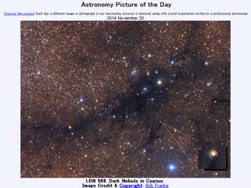 2014年 11月20日 ｢はくちょう座の暗黒星雲:LDN 988｣-Astronomy Picture of the Day