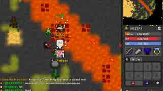 【RotMG】Invisible Character