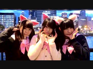 【踊ってみた】ネコネコ☆スーパーフィーバーナイト【初投稿】