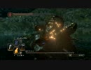 【ダークソウル2】可愛すぎる学徒たんと倍速攻略 Part.21