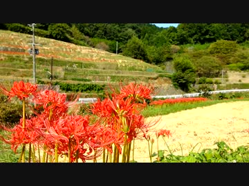 ST250 秋のツーリング