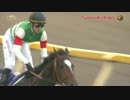 【青嶋達也】2014年 第34回 ジャパンカップ【エピファネイア】