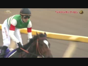 【青嶋達也】2014年 第34回 ジャパンカップ【エピファネイア】