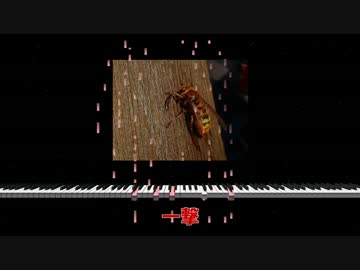 【ピアノアレンジ】AMAZING BREAK【テラフォーマーズ】