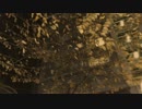 GLAY 出逢ってしまった2人を弾いてみた