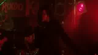 スピィド狂ジェット・ハニー[Live]S.Q.F