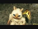 中国版モンハンオンライン　綺麗すぎると話題の最新トレーラー【HD】