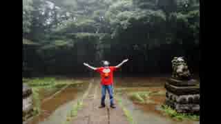 2014年07月09日 続・多摩湖周辺、森の神社巡り - 鳩峯八幡神社 Part4