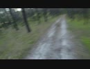 ～逃走中(Vsクマ)～
