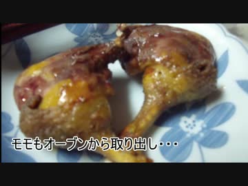 カモ猟番外編4　新米猟師ハンターライフ【散弾銃】