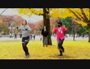 【YuiT】|||トゥルティンアンテナ|||　踊ってみた【道化師】