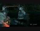 【ダークソウル2】闇っ子白霊