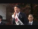 日本共産党大阪12区国政対策委員長吉井よし子11月20日なんばでの訴え