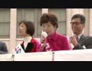日本共産党大阪二区地区副委員長山本陽子11月20日なんばでの訴え