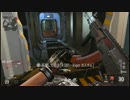 【PS3】CoD:AWをゆるく楽しむ AK-12 [FFA]1