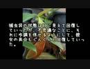 【ゆっくり怪談】ウツボカズラ【怖い話】