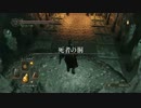 【実況プレイ】ホラー嫌いのダークソウル2DLC part6