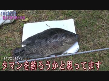 【決戦】１００均だけで揃えた物で釣り対決、後半【リベンジ】