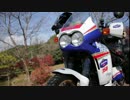 【バイク車載】大井川キャンプ行ってきた【ニコツー】