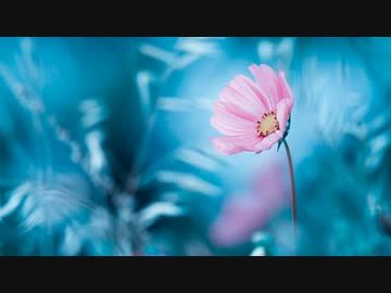 【オリジナル・NNI】悲しいけど少し優しいピアノ【BGM】