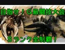 【MH4G】目指せ!G級闘技大会Sランク全制覇!【4乙目】