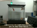 ROBOFISH2 無線電力伝送の危険か？
