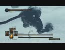 DARK SOULS II VS 王の仔ラド＆ザレン