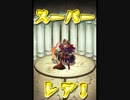 気ままにモンストプレイpart18「真紅に染まる侵略の剣・極」ノーコン