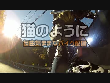 コミュ宣PV　『猫のように』　気ままなバイク配信　co177880