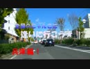 全国のにゃんこに逢いに行こう３１