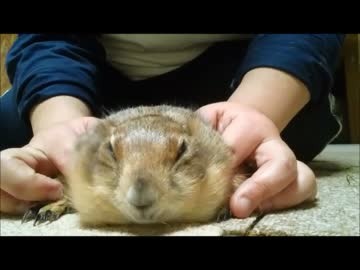 ちょリスに対抗してみた