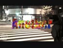 HALLUCIGENIA 【Another】 MV