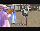 魂魄妖夢は猫が飼いたいＥＸ