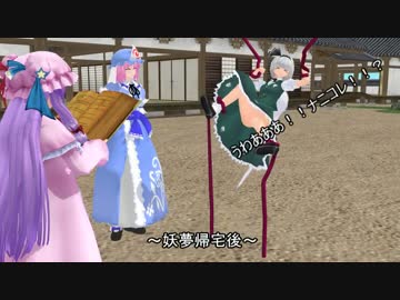 魂魄妖夢は猫が飼いたいＥＸ