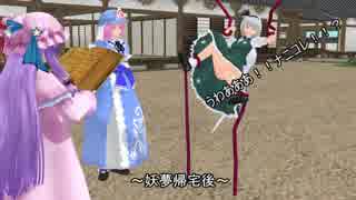 魂魄妖夢は猫が飼いたいＥＸ