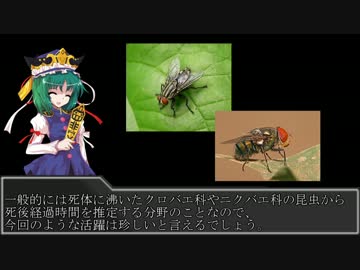 えーき様の3分犯罪解説　第11講