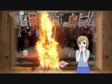 【桜井誠】『在特会は嫌韓デモをやめろ！』韓国の国会で可決＆台湾映画